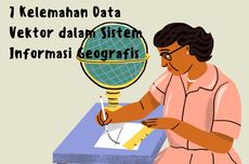 7 Kelemahan Data Vektor dalam Sistem Informasi Geografis