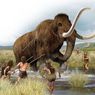 Apa Perbedaan Gajah dan Mammoth?