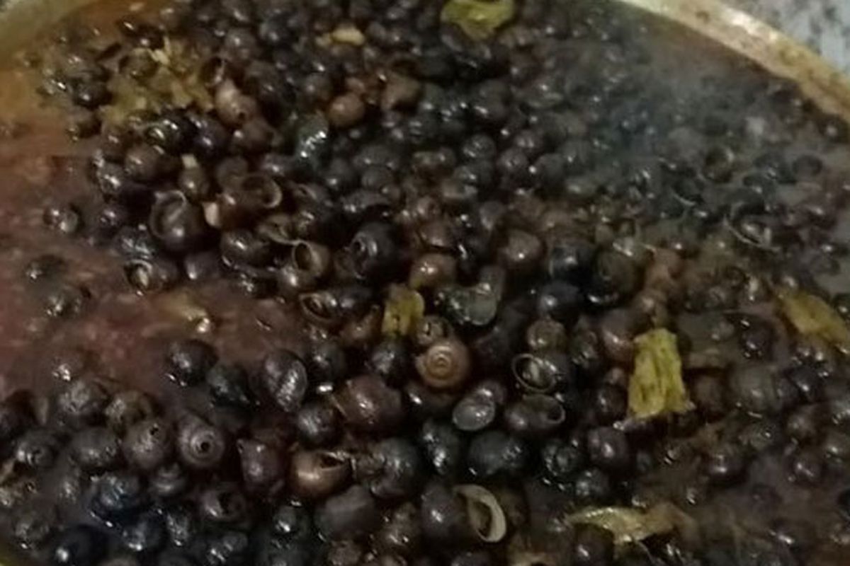 Aroma rempah-rempah semerbak di ruang dapur warung milik Chamlani (57) yang memasak keong di RT 2/6 Jalan Kauman Lama, Purwokerto Lor, Kecamatan Purwokerto Timur, Banyumas, Jawa Tengah. 