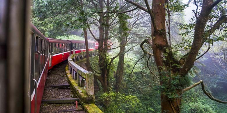 Perjalanan kereta api Alishan Forest Railway, Taiwan