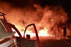 350 Hektar Hutan TN Way Kambas Terbakar, Trenggiling Ditemukan Hangus