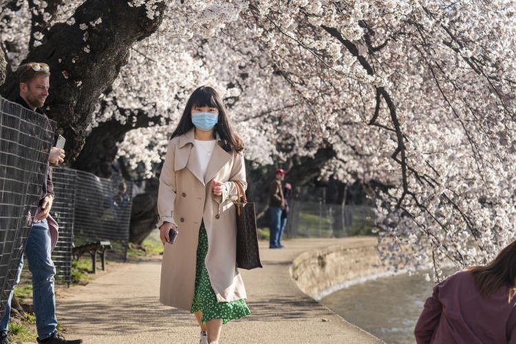 epa08303883 A woman wearing a face mask attends the start of the annual cherry blossom bloom on the Tidal Basin in Washington, DC, USA, 18 March 2020. Efforts to contain the coronavirus COVID-19 pandemic have caused travel disruptions, sporting events cancellations, runs on cleaning supplies and food and other inconveniences. USA now has 6,624 cases and more than 100 deaths.  EPA-EFE/JIM LO SCALZO