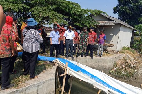 1.500 Hektar Sawah di Cirebon Selamat dari Kekeringan