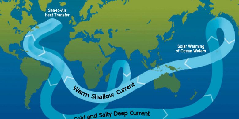 Thermohaline Circulation: Definition and Process of Its Occurrence All