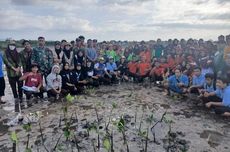 Cegah Abrasi, Forum Disabilitas Sarea dan PSDAT Tanam Mangrove di Desa Pulau Kaung Sumbawa