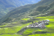 Desa Rinding Allo di Sulsel, Dikelilingi Sawah Terasering Nan Asri