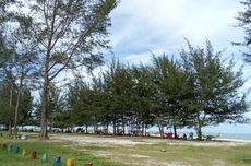 Pantai Serdang Belitung Timur, Lepas Penat di Bawah Pohon Cemara