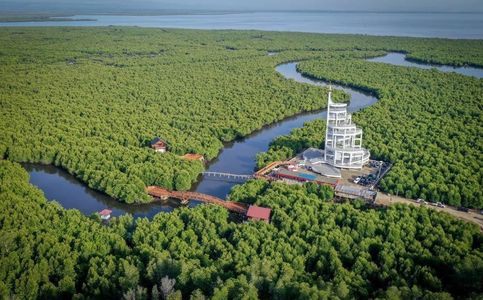 New Observatory Tower amid Southeast Asia’s Largest Mangrove Forests Introduced in Indonesia’s Aceh
