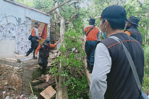 Hujan dan Angin Kencang Landa Nusa Penida Bali, Pohon Tumbang Timpa Rumah Warga