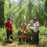 Lewat Program PSR, Sinar Mas Agribusiness and Food Berusaha Tingkatkan Produktivitas Sawit Petani