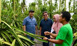 Saat Bersama YDBA, UMKM Naik Kelas dan Tembus Kemandirian...