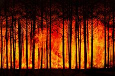 Jatuh Terpeleset Saat Padamkan Api di Hutan Klaten, Dua Relawan Alami Luka Bakar