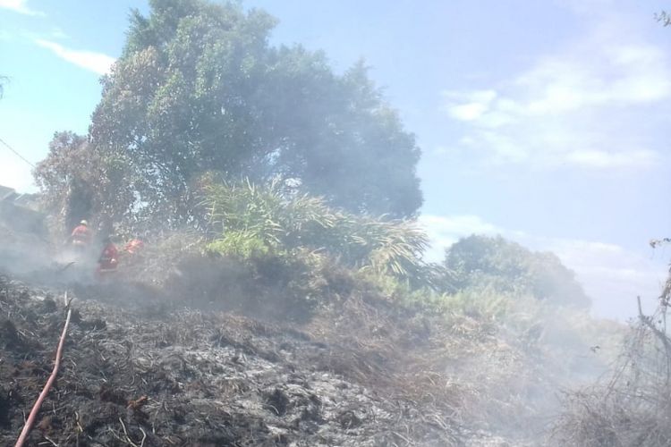 Upaya pendinginan yang dilakukan petugas pemadam kebakaran di lokasi kebakaran lahan di Pekanbaru ( Dokumentasi petugas Damkar Pekanbaru ) 