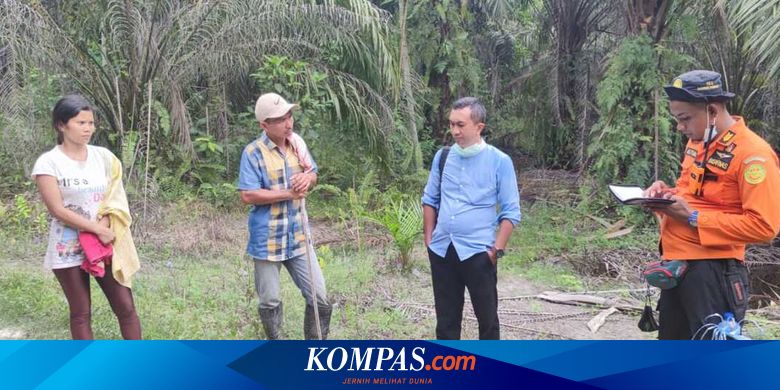 Anak Perempuannya Hilang di Bukit Jin Dumai, Ayah: Ayo Sayang Mamak Sudah Nunggu, Pulang... - Vimarsana News