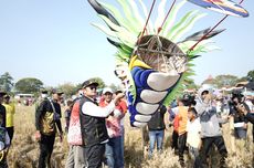 Festival Layang-layang Naga Lamongan 2023, Peserta dari Seluruh Jatim