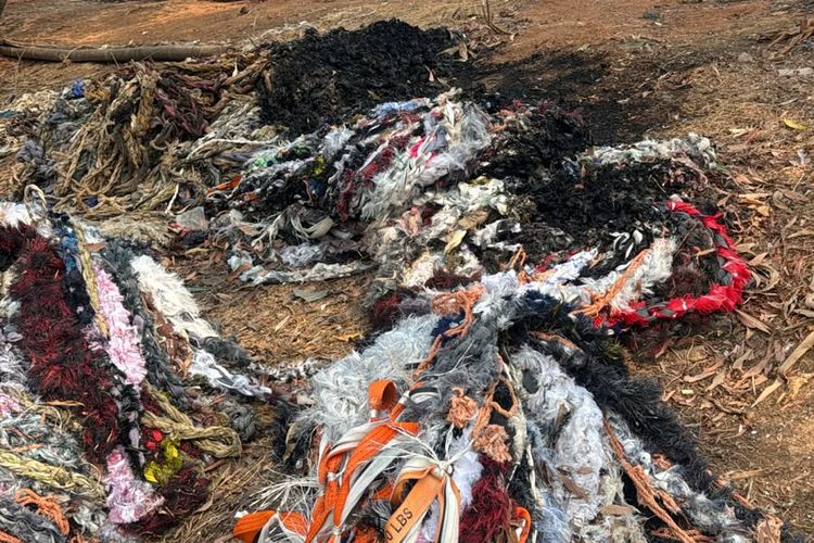 Tawuran Kerap Terjadi di Kalibaru Jakut, Tali Kerang Hijau Warga Dibakar