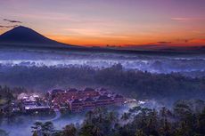 Terbius Indahnya Hutan dan Perbukitan di Padma Resort Ubud