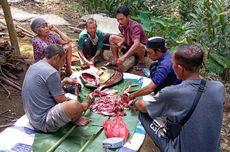 Belasan Kambing Diserang Binatang Buas di Cikidang Sukabumi