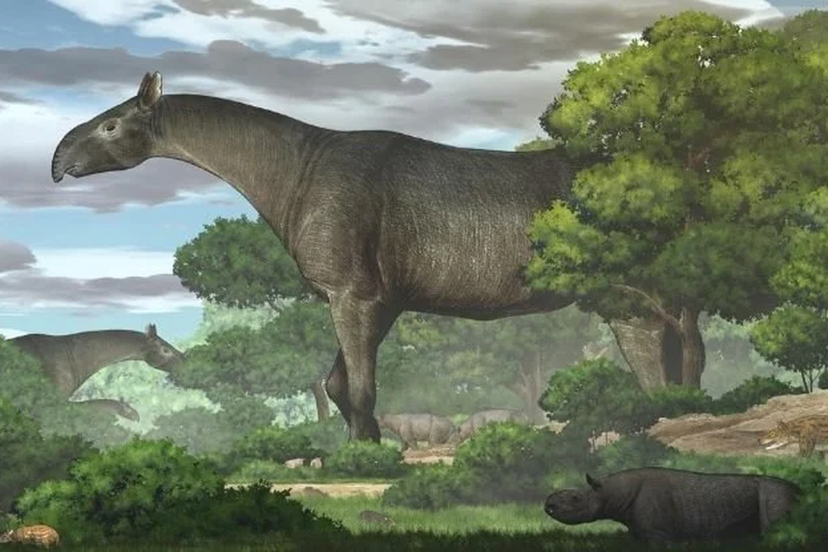 Intepretasi P. linxiaense, salah satu mamalia terbesar yang pernah hidup di Bumi

