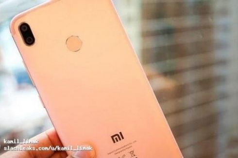 Seperti Inikah Hasil Jepretan Kamera Xiaomi Mi A2?