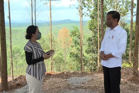 Jokowi Teken Perpres 65/2022, Pengadaan Tanah di IKN Bisa Lewat Jual-Beli hingga Ruislag