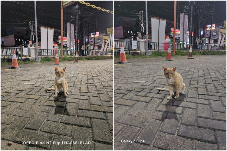 Hasil foto kamera utama Oppo Find N2 Flip 50 MP (f/1.8) di sebelah kiri dan Samsung Galaxy Z Flip 4 12 MP (f/1.8) di sebelah kanan memotret kucing di malam hari. Bisa dilihat, warna dan bayangan kucing lebih tajam di ponsel Oppo dibanding ponsel Samsung.