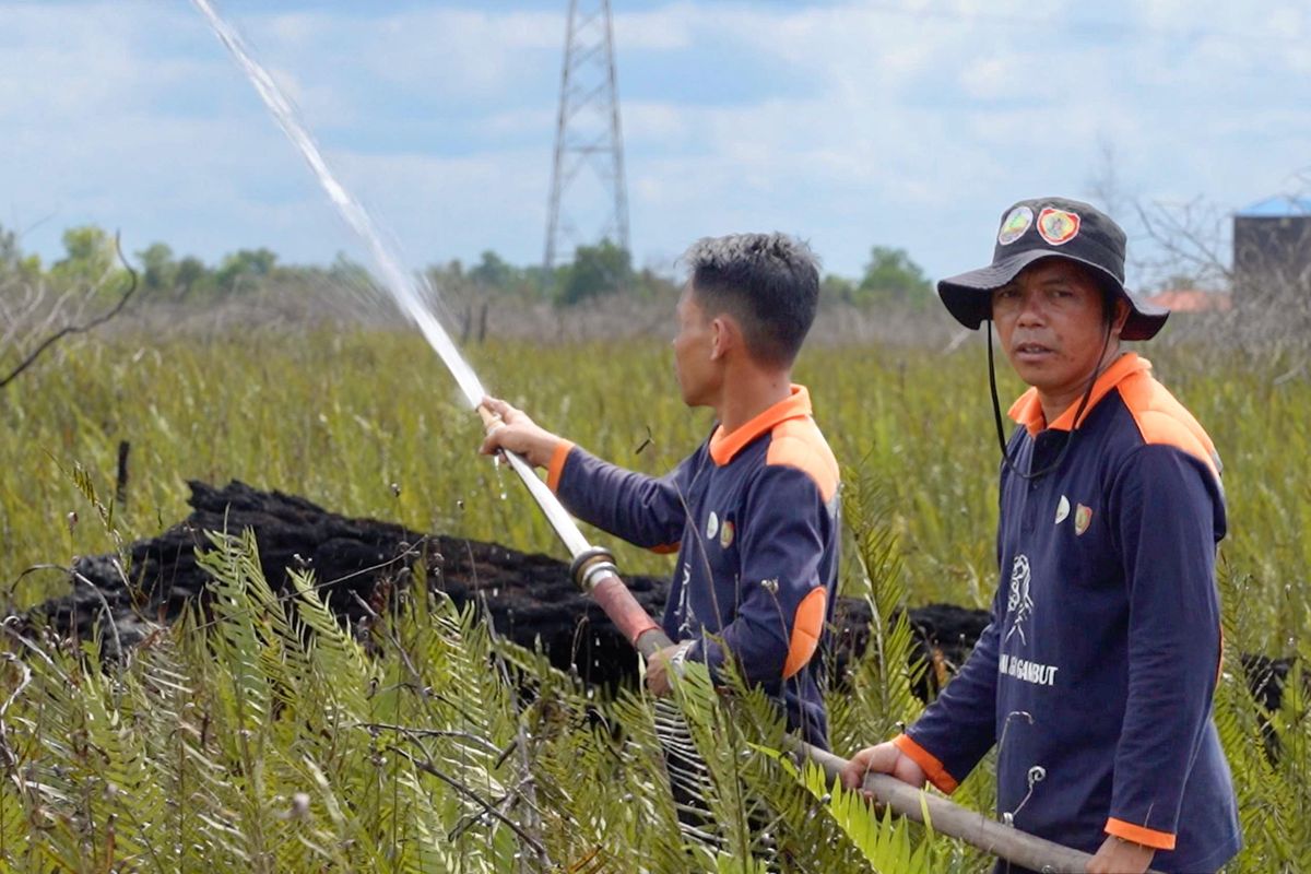 Simulasi Operasi Pembasahan Lahan Gambut oleh Masyarakat Peduli Api Perintis Tumbang Nusa. 