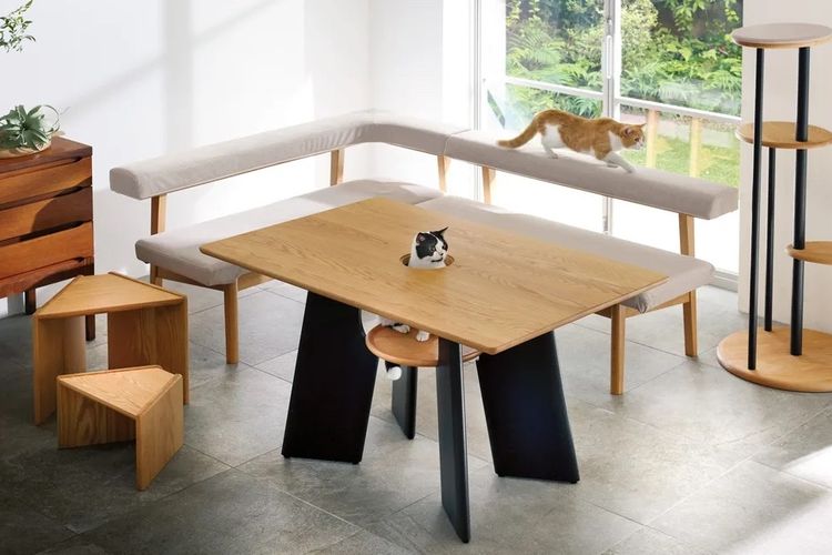 Perusahaan furnitur di Jepang membuat meja makan dengan tempat khusus untuk kucing.