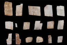 Manusia 100 Ribu Tahun Lalu Koleksi Kristal Berbentuk Jajaran Genjang