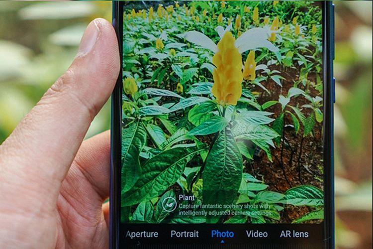 Contoh hasil jepretan kamera belakang nova3i dengan AI. Kamera langsung mengidentifikasi objek dan menerapkan pengaturan yang paling sesuai. (KOMPAS.com / OIK YUSUF)