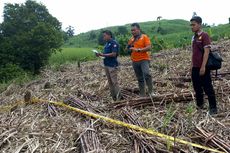 Hilang 8 Bulan, Kakek di Blitar Ditemukan Tinggal Tulang Belulang