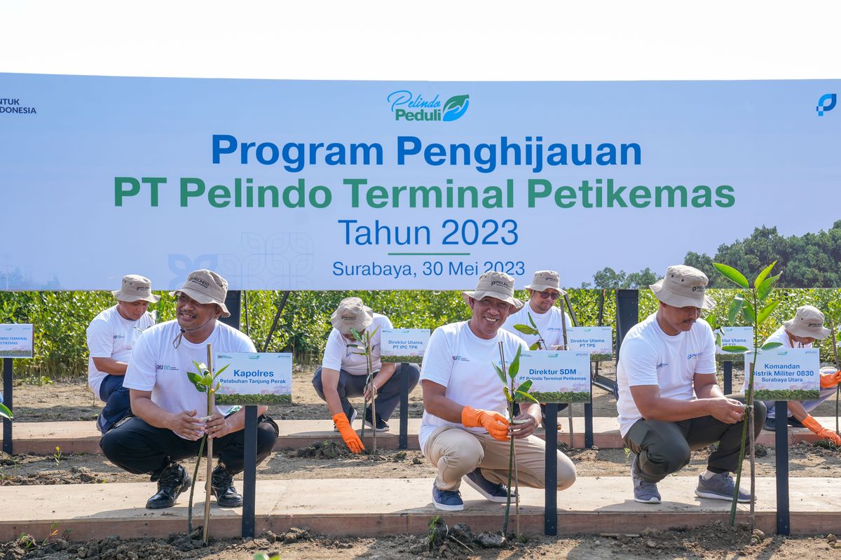 Subholding PT Pelindo Terminal Petikemas (SPTP) memulai komitmen penghijauan area pelabuhan dengan melakukan penanaman 55.000 bibit mangrove di Kelurahan Tambaksarioso, Kecamatan Asemrowo, Surabaya, Selasa (30/5/2023).
