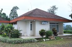 Sensasi Menginap di Tengah Kebun Teh Kabupaten Batang, Mulai Rp 200.000
