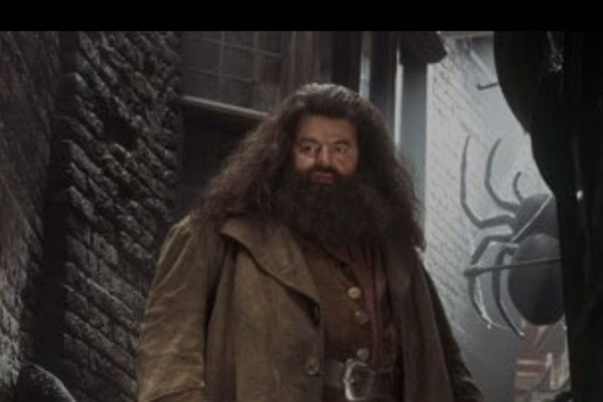 Pemeran Hagrid dalam film-film Harry Potter, Robbie Coltrane, meninggal dunia dalam usia 72 tahun, Jumat (14/10/2022).