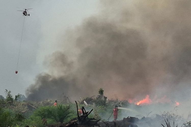 Karhutla di Pelalawan Meluas, Api Digempur dari Darat dan Udara