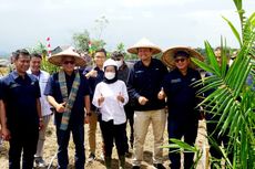 Bangun Perekonomian Enrekang, PTPN Group Mulai Proses Budidaya Kelapa Sawit
