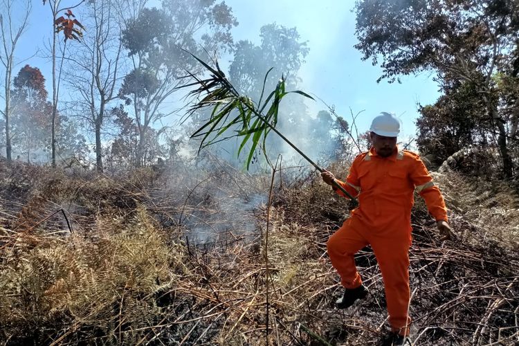 Petugas BPBD Nunukan Kaltara yang berupapaya melakukan pemadaman kebakaran lahan secara tradisional atau gepyok