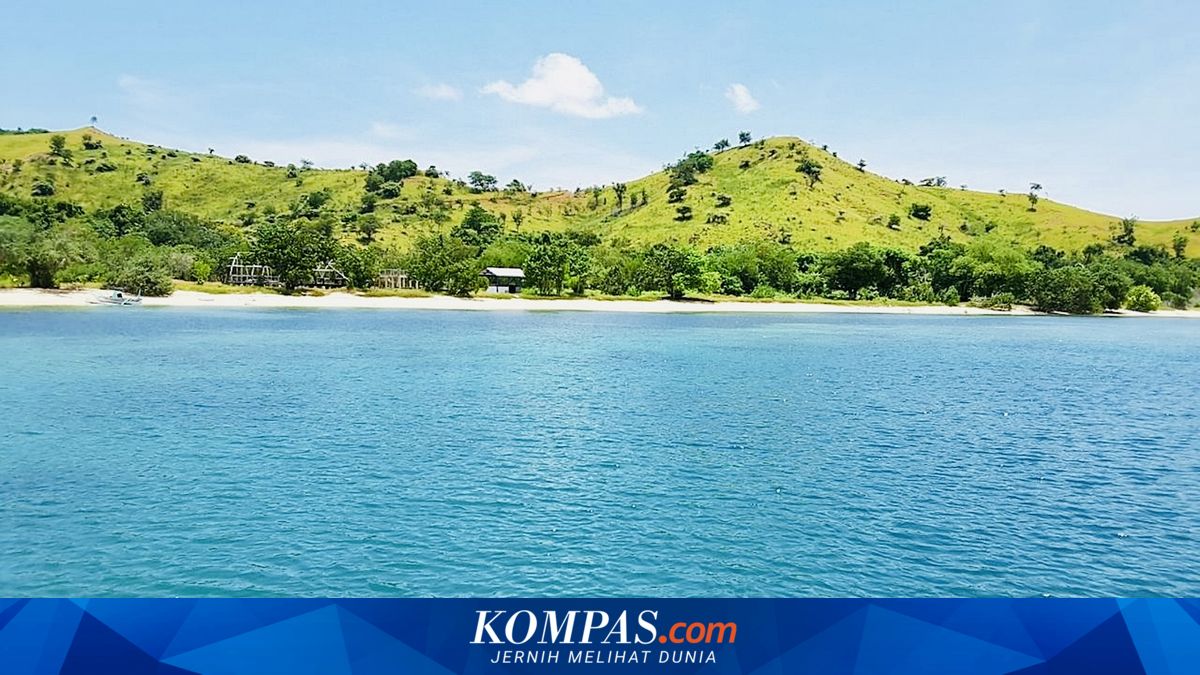 Mulai April, Wisatawan Komodo Dibatasi 1.000 Orang per Hari, Ini Alasannya ~WR

Klik untuk baca:
