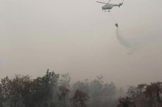 Wilayah Kebakaran Hutan Diguyur Hujan, Titik Api Mulai Berkurang