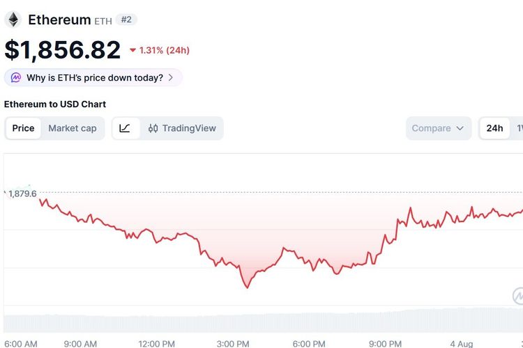 Harga Ethereum Hari Ini 4 Agustus 2026 Jeblok Adanya Sentimen Negatif