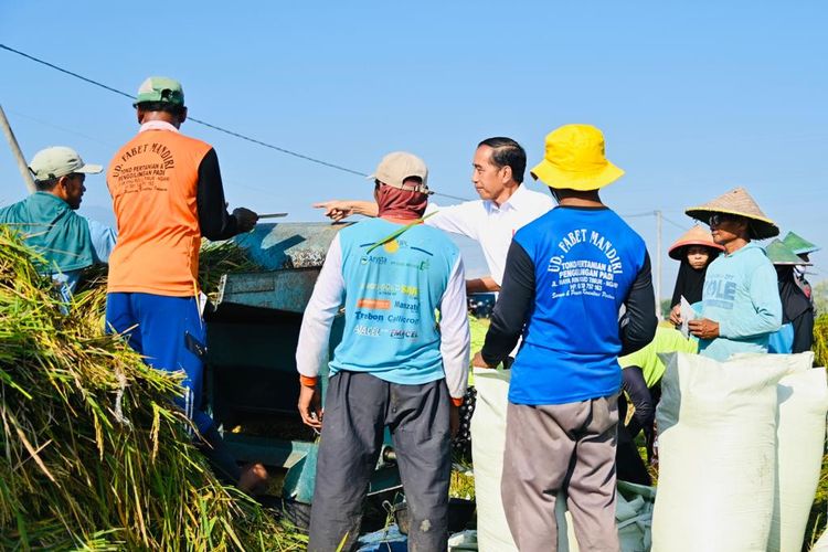 Presiden Joko Widodo (Jokowi) mengaku puas dengan rata-rata produktivitas gabah di Kabupaten Ngawi yang mencapai 10,5 ton per hektar. 