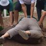 Adian Tindih Sapi Pakai Tubuhnya, Cerita Unik Panitia Kurban