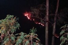 Bukit di Tepi Danau Toba Alami Kebakaran Hutan, Meluas sampai Sipiso-Piso