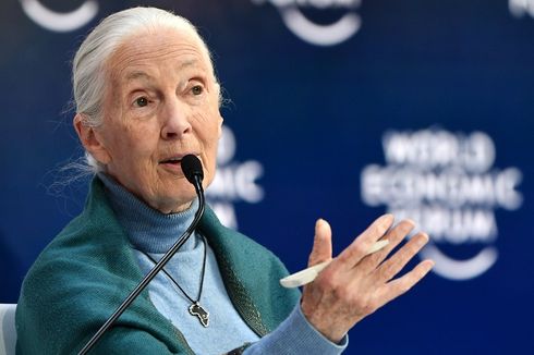 Saat Lockdown, Pakar Konservasi Terkemuka Jane Goodall Berseru: Stop Perdagangan Hewan Liar
