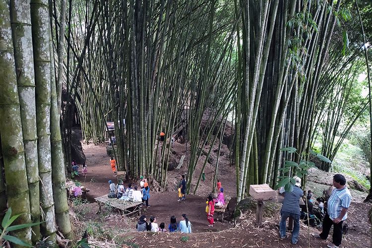 Hutan bambu di Dusun ToKumila, Toraja Utara