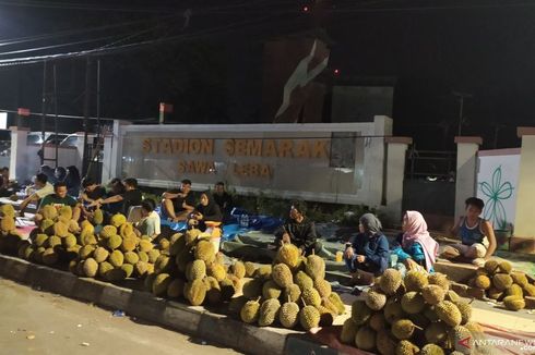 Jalanan di Kota Bengkulu Berubah Jadi Lokasi Wisata Durian
