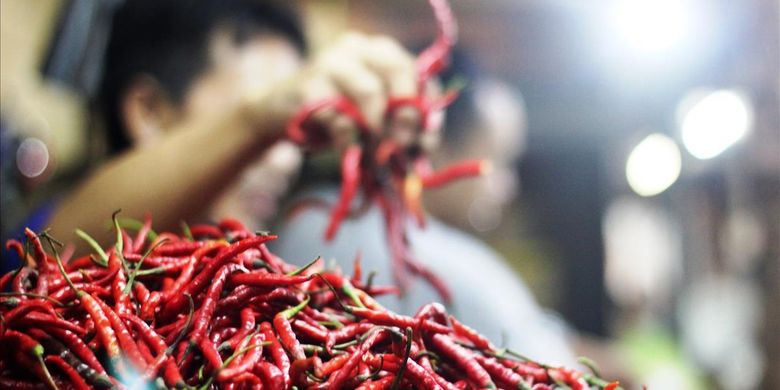Ini Tips Sukses Petani Cabai Milenial Raih Omzet Puluhan Juta Halaman All Kompas Com