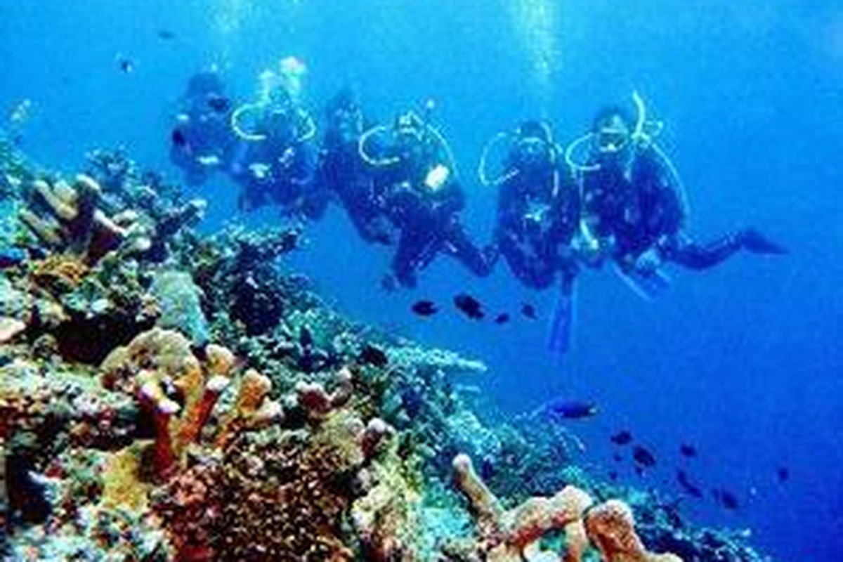 Suasana bawah laut Halmahera Utara.