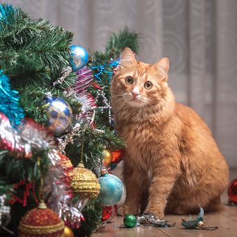 Ilustrasi kucing bermain di pohon Natal.