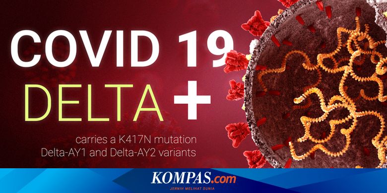 Sudah Masuk Indonesia Ini Gejala Dan Risiko Virus Corona Varian Delta Plus Halaman All Kompas Com